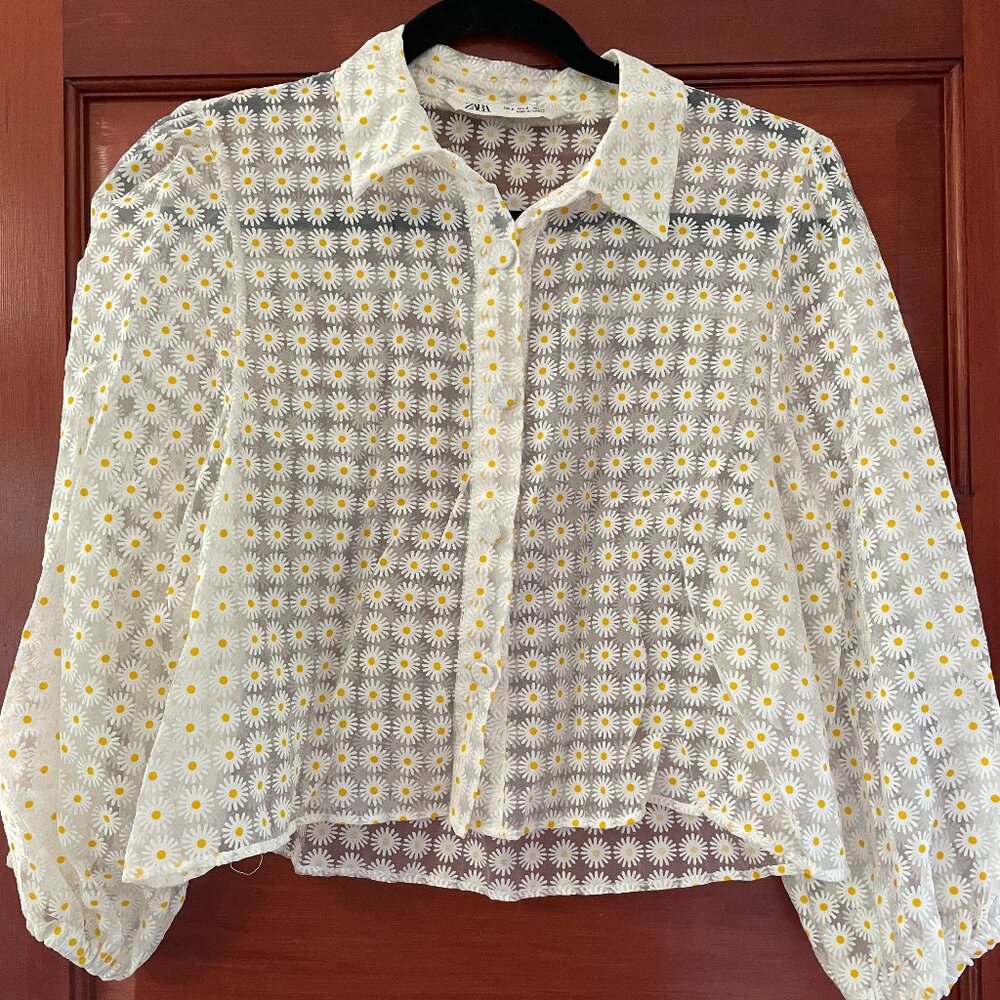 Zara Sheer Daisy Blouse